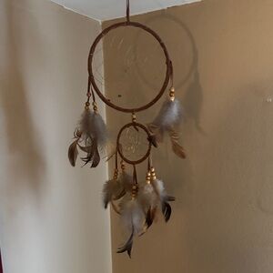 Brown Feathers Dreamcatcher Wall Decor